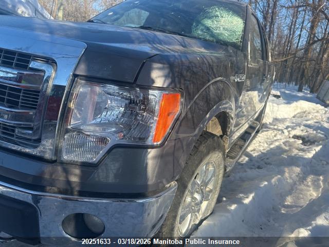 2014 Ford F150 Xlt Supercrew მანქანა იყიდება აუქციონზე, vin: 1FTFW1EF3EKG14953, აუქციონის ნომერი: 20251633