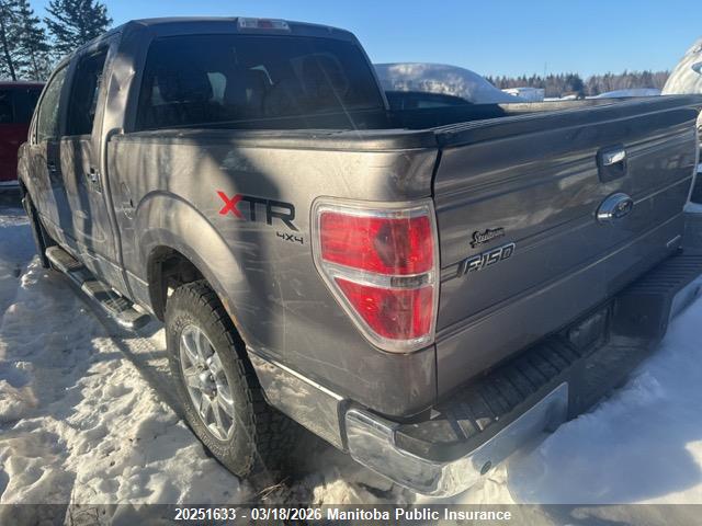 2014 Ford F150 Xlt Supercrew მანქანა იყიდება აუქციონზე, vin: 1FTFW1EF3EKG14953, აუქციონის ნომერი: 20251633