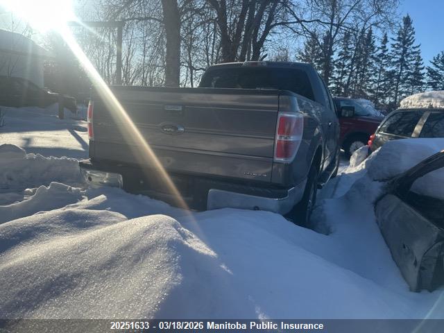 2014 Ford F150 Xlt Supercrew მანქანა იყიდება აუქციონზე, vin: 1FTFW1EF3EKG14953, აუქციონის ნომერი: 20251633