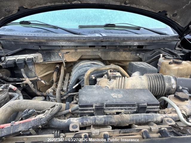 Aukcja sprzedaży 2010 Ford F150 Xlt Supercab, vin: 1FTEX1E89AFC39602, numer aukcji: 20251847