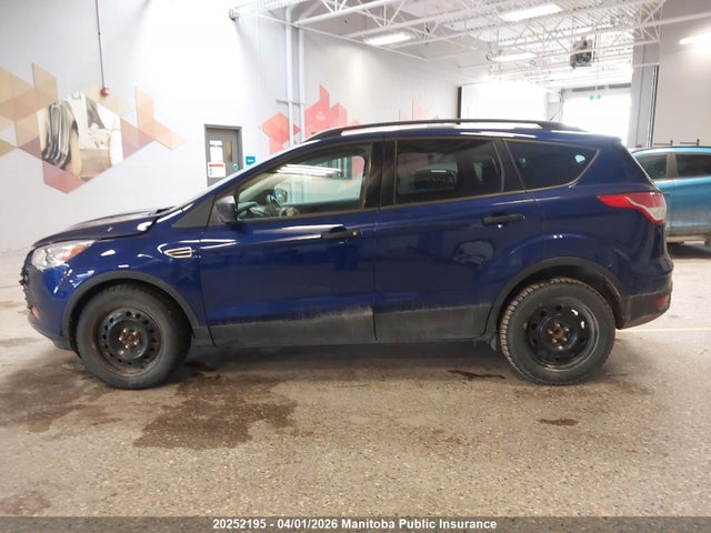 Aukcja sprzedaży 2016 Ford Escape S, vin: 1FMCU0F70GUA78914, numer aukcji: 20252195