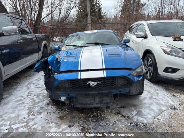 Продажа на аукционе авто 2019 Ford Mustang, vin: 1FA6P8TH6K5172986, номер лота: 20252263