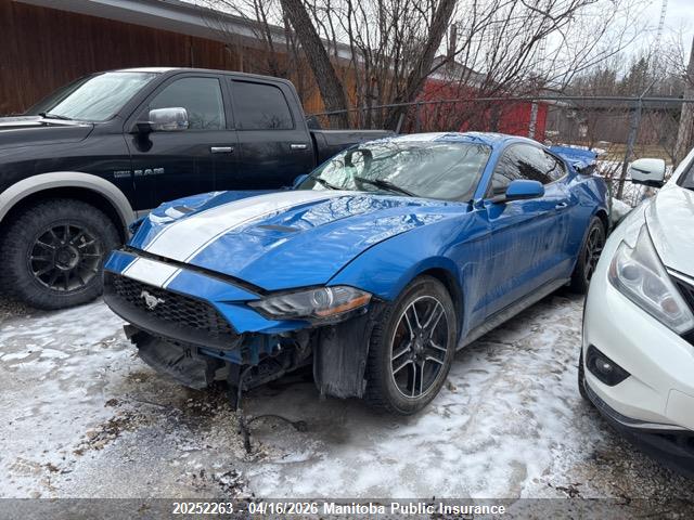 Продажа на аукционе авто 2019 Ford Mustang, vin: 1FA6P8TH6K5172986, номер лота: 20252263