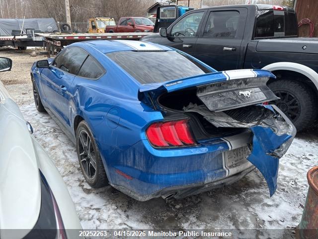 Продажа на аукционе авто 2019 Ford Mustang, vin: 1FA6P8TH6K5172986, номер лота: 20252263