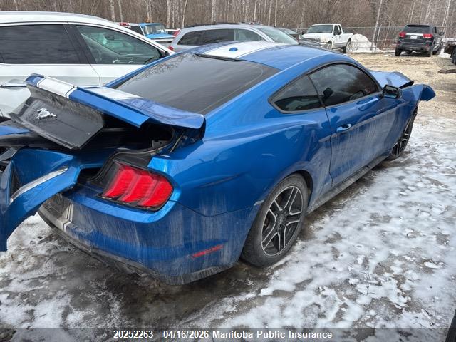 Продажа на аукционе авто 2019 Ford Mustang, vin: 1FA6P8TH6K5172986, номер лота: 20252263