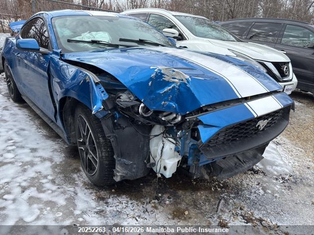 Продажа на аукционе авто 2019 Ford Mustang, vin: 1FA6P8TH6K5172986, номер лота: 20252263