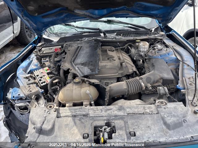 Продажа на аукционе авто 2019 Ford Mustang, vin: 1FA6P8TH6K5172986, номер лота: 20252263