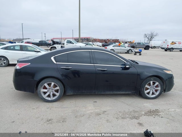 20252369 :رقم المزاد ، 19UUA9F58BA800226 vin ، 2011 Acura 3.7 Tl مزاد بيع