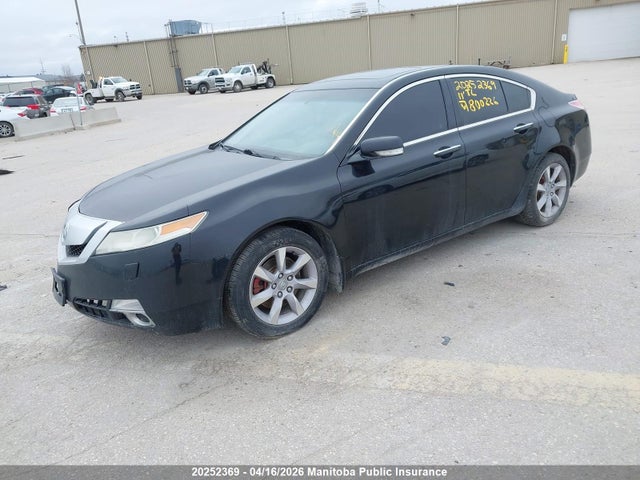 20252369 :رقم المزاد ، 19UUA9F58BA800226 vin ، 2011 Acura 3.7 Tl مزاد بيع