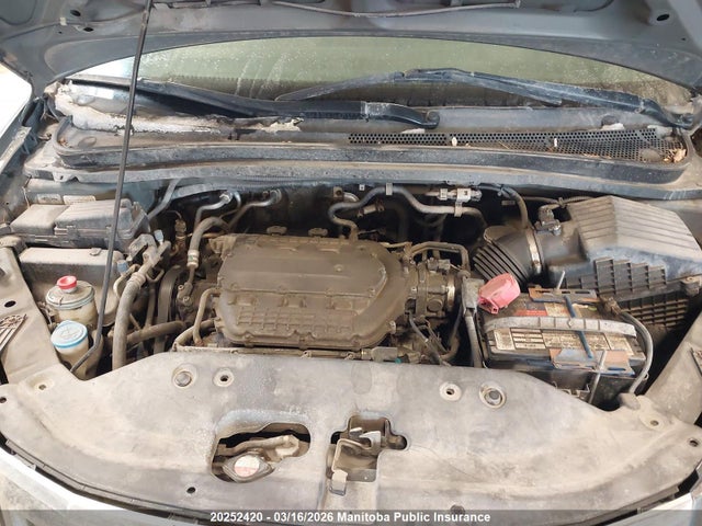 Продаж на аукціоні авто 2008 Honda Odyssey Dx, vin: 5FNRL38128B502499, номер лоту: 20252420