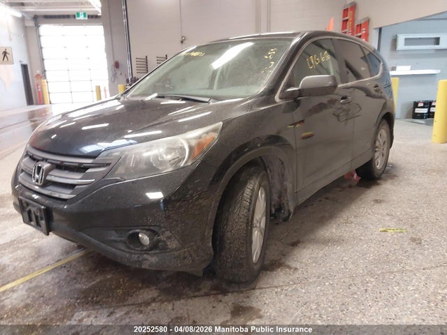 Aukcja sprzedaży 2013 Honda Cr-v Lx, vin: 2HKRM4H52DH122399, numer aukcji: 20252580