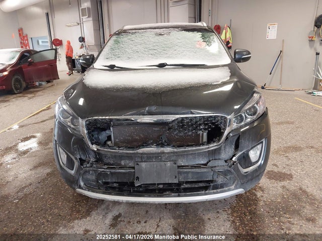 Продаж на аукціоні авто 2017 Kia Sorento Ex V6, vin: 5XYPHDA55HG234598, номер лоту: 20252581