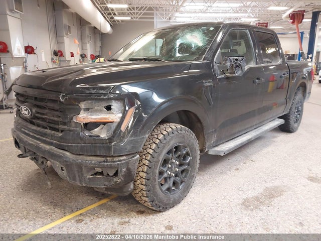 2024 Ford F150 Xlt Supercrew მანქანა იყიდება აუქციონზე, vin: 1FTEW3LP6RKD92286, აუქციონის ნომერი: 20252822