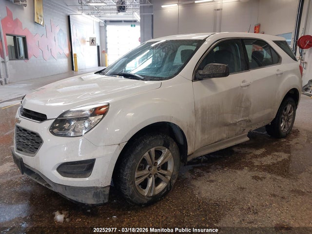2GNALBEK8H1567520 Chevrolet EQUINOX LS