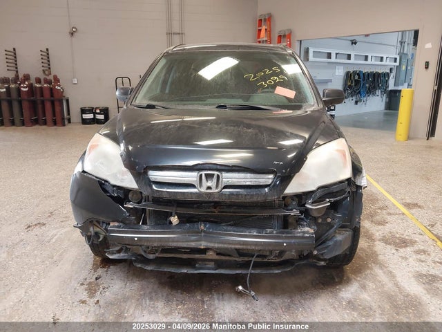 Aukcja sprzedaży 2007 Honda Cr-v Ex, vin: 5J6RE48547L815384, numer aukcji: 20253029