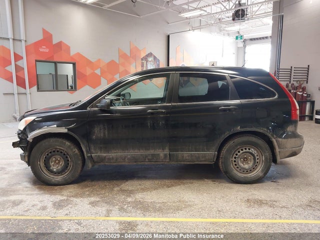 Aukcja sprzedaży 2007 Honda Cr-v Ex, vin: 5J6RE48547L815384, numer aukcji: 20253029