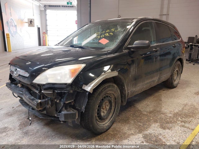 Aukcja sprzedaży 2007 Honda Cr-v Ex, vin: 5J6RE48547L815384, numer aukcji: 20253029