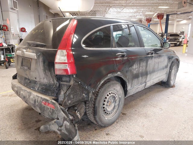 Aukcja sprzedaży 2007 Honda Cr-v Ex, vin: 5J6RE48547L815384, numer aukcji: 20253029