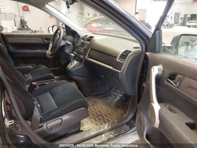 Aukcja sprzedaży 2007 Honda Cr-v Ex, vin: 5J6RE48547L815384, numer aukcji: 20253029