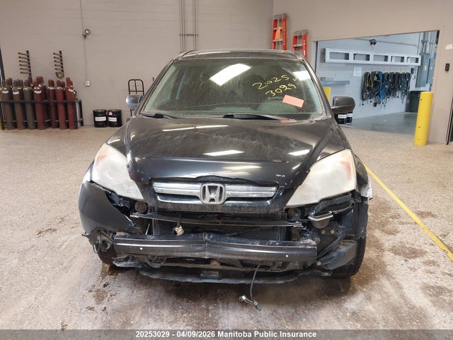 Aukcja sprzedaży 2007 Honda Cr-v Ex, vin: 5J6RE48547L815384, numer aukcji: 20253029