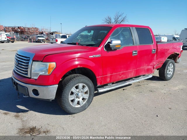 Aukcja sprzedaży 2010 Ford F150 Xlt Supercrew, vin: 1FTFW1EV3AFB64134, numer aukcji: 20253036