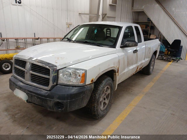Продаж на аукціоні авто 2007 Dodge Dakota St Club Cab, vin: 1D7HW22KX7S172116, номер лоту: 20253229