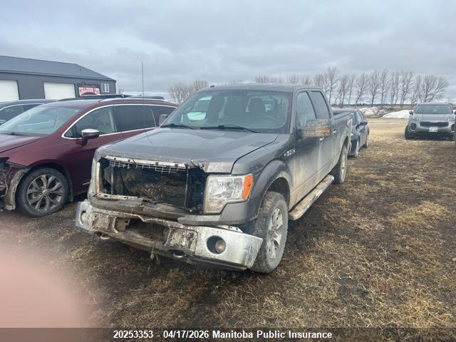 Продаж на аукціоні авто 2014 Ford F150 Xlt Supercrew, vin: 1FTFW1EF8EKF83392, номер лоту: 20253353