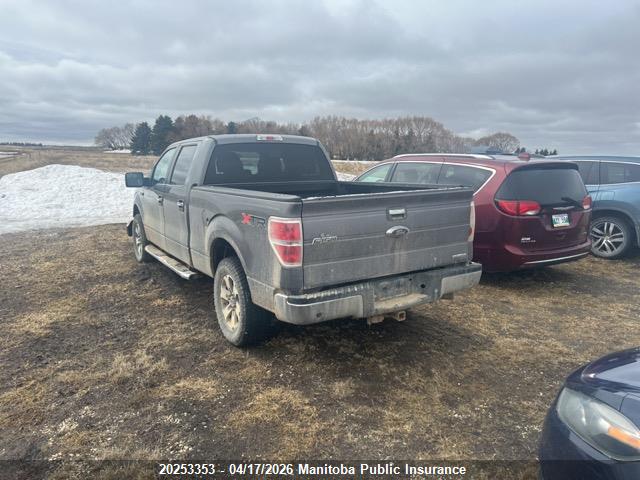 Продаж на аукціоні авто 2014 Ford F150 Xlt Supercrew, vin: 1FTFW1EF8EKF83392, номер лоту: 20253353