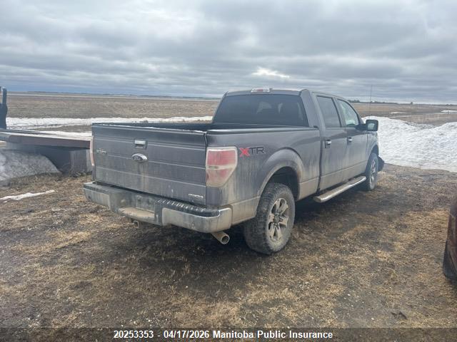 Продаж на аукціоні авто 2014 Ford F150 Xlt Supercrew, vin: 1FTFW1EF8EKF83392, номер лоту: 20253353