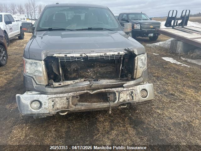Продаж на аукціоні авто 2014 Ford F150 Xlt Supercrew, vin: 1FTFW1EF8EKF83392, номер лоту: 20253353