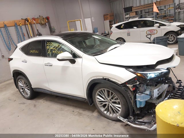 Продажа на аукционе авто 2025 Lexus Nx350h, vin: 2T2GKCEZ1SC046961, номер лота: 20253380