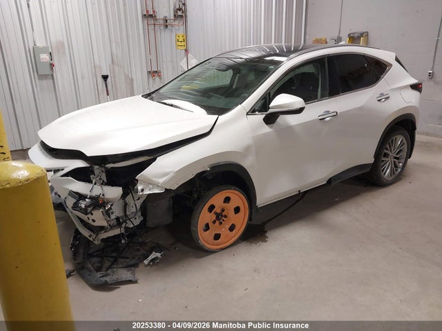 Продажа на аукционе авто 2025 Lexus Nx350h, vin: 2T2GKCEZ1SC046961, номер лота: 20253380