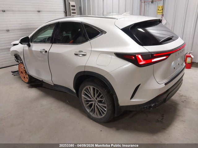 Продажа на аукционе авто 2025 Lexus Nx350h, vin: 2T2GKCEZ1SC046961, номер лота: 20253380