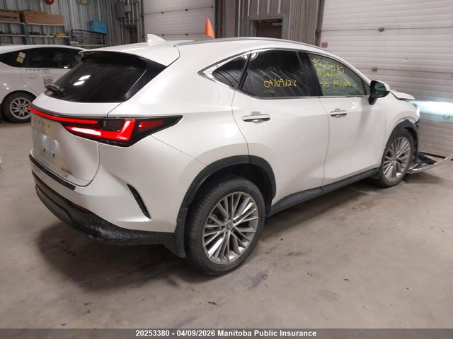 Продажа на аукционе авто 2025 Lexus Nx350h, vin: 2T2GKCEZ1SC046961, номер лота: 20253380