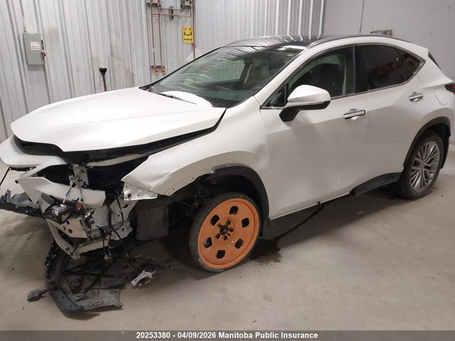 Продажа на аукционе авто 2025 Lexus Nx350h, vin: 2T2GKCEZ1SC046961, номер лота: 20253380