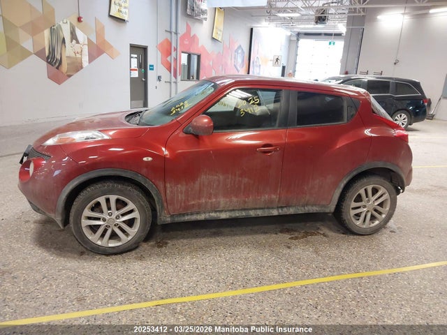 20253412 :رقم المزاد ، JN8AF5MR4DT210599 vin ، 2013 Nissan Juke Sv مزاد بيع
