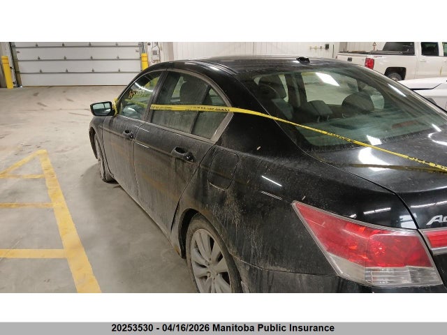 Aukcja sprzedaży 2011 Honda Accord Ex-l, vin: 1HGCP2F86BA800088, numer aukcji: 20253530