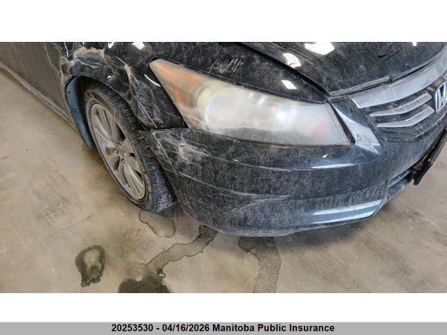 Aukcja sprzedaży 2011 Honda Accord Ex-l, vin: 1HGCP2F86BA800088, numer aukcji: 20253530
