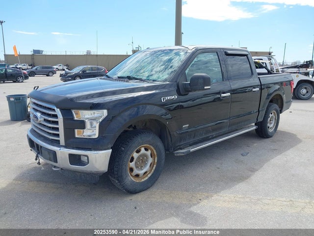 2015 Ford F150 Xlt Supercrew მანქანა იყიდება აუქციონზე, vin: 1FTEW1EG6FKF09376, აუქციონის ნომერი: 20253590