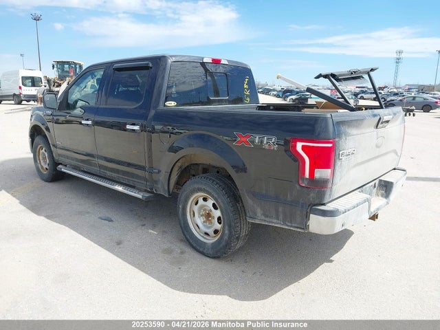 2015 Ford F150 Xlt Supercrew მანქანა იყიდება აუქციონზე, vin: 1FTEW1EG6FKF09376, აუქციონის ნომერი: 20253590