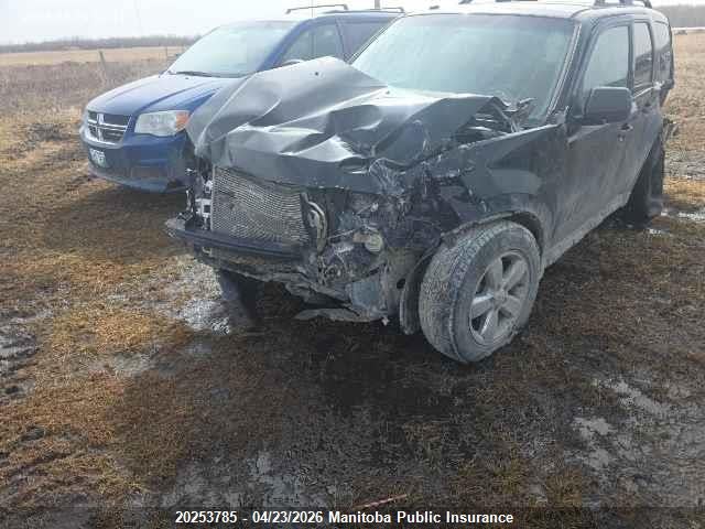 2009 Ford Escape Xlt V6 მანქანა იყიდება აუქციონზე, vin: 1FMCU93G69KA48369, აუქციონის ნომერი: 20253785