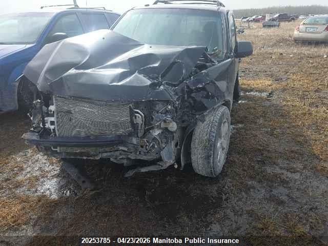 2009 Ford Escape Xlt V6 მანქანა იყიდება აუქციონზე, vin: 1FMCU93G69KA48369, აუქციონის ნომერი: 20253785