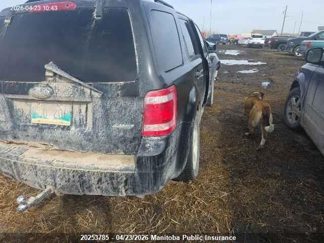2009 Ford Escape Xlt V6 მანქანა იყიდება აუქციონზე, vin: 1FMCU93G69KA48369, აუქციონის ნომერი: 20253785