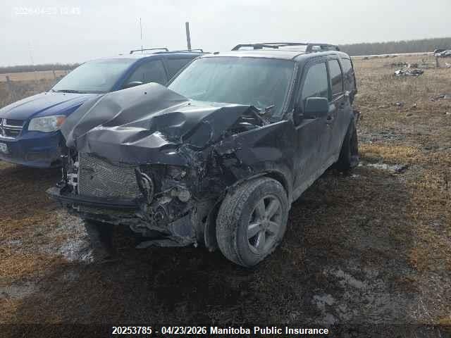 2009 Ford Escape Xlt V6 მანქანა იყიდება აუქციონზე, vin: 1FMCU93G69KA48369, აუქციონის ნომერი: 20253785
