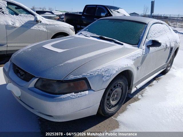 Продажа на аукционе авто 2003 Ford Mustang, vin: 1FAFP40443F359083, номер лота: 20253978