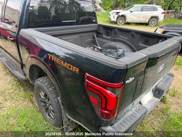 Продажа на аукционе авто 2025 Ford F150 Tremor Supercrew, vin: 1FTFW4L83SFA37335, номер лота: 20254108