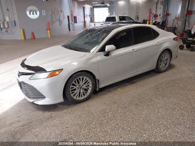 4T1B11HK9JU037099 Toyota CAMRY XLE