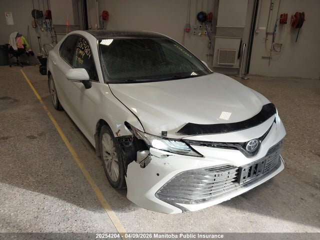 4T1B11HK9JU037099 Toyota CAMRY XLE