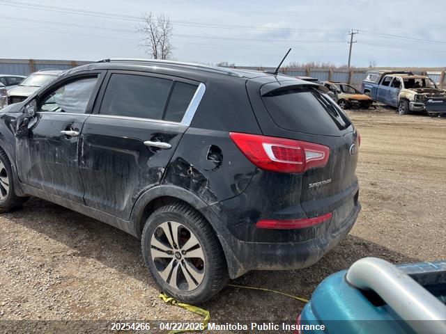 Продаж на аукціоні авто 2013 Kia Sportage, vin: KNDPCCA21D7366750, номер лоту: 20254266