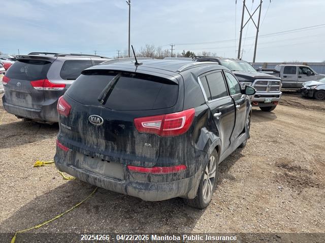 Продаж на аукціоні авто 2013 Kia Sportage, vin: KNDPCCA21D7366750, номер лоту: 20254266